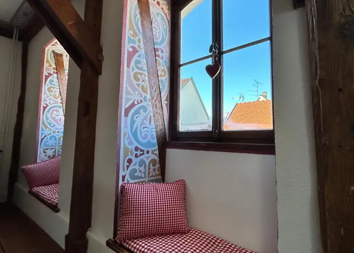 Cosy Colmar Old Town Penthouse!