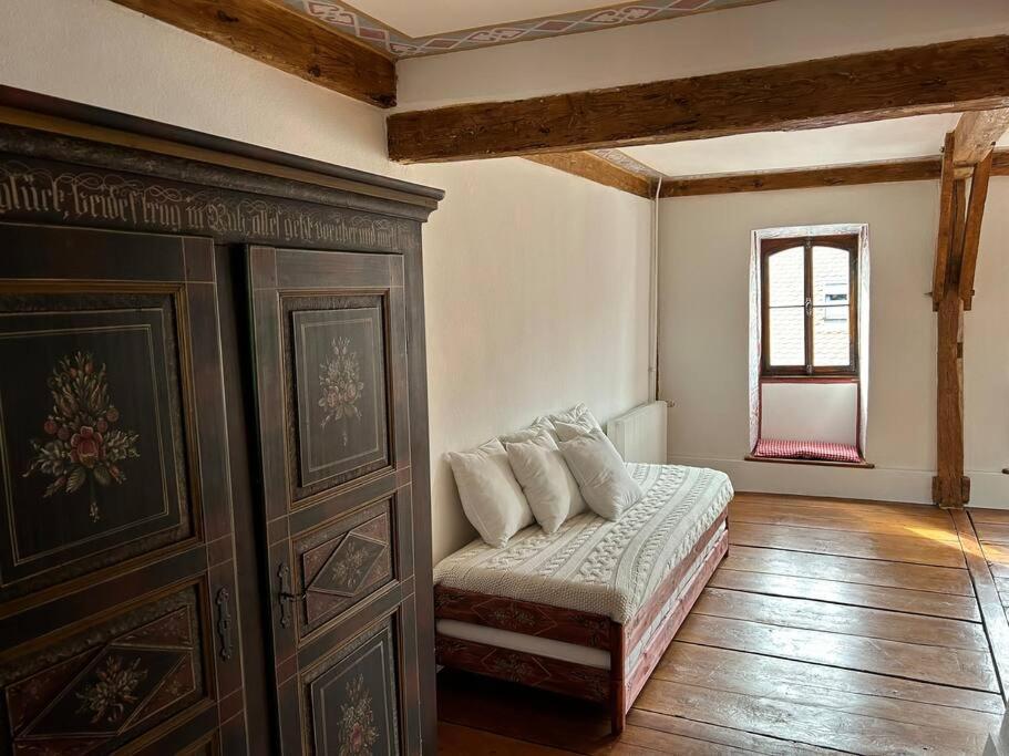 Cosy Old Town Penthouse! Colmar