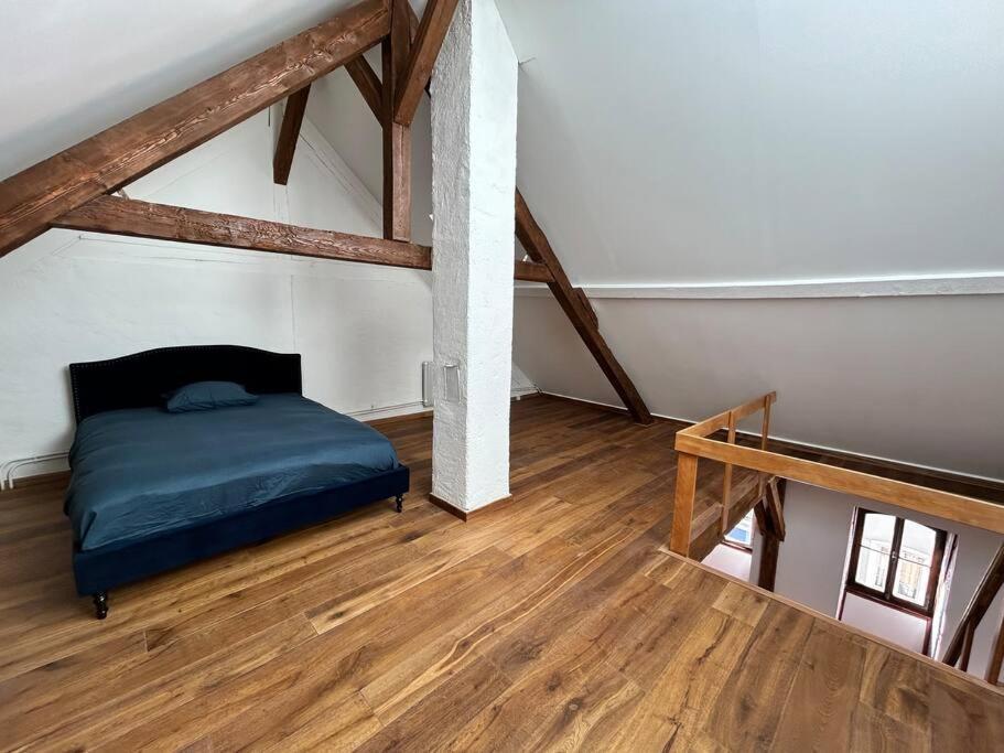 Appartement Cosy Old Town Penthouse! Colmar