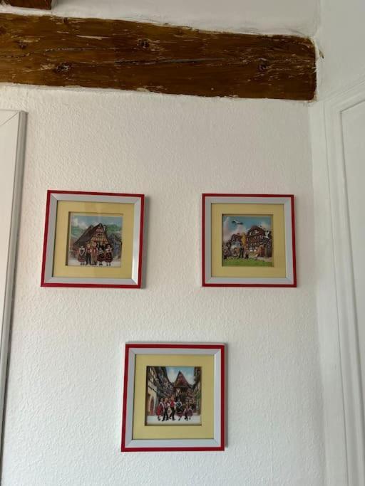 Cosy Old Town Penthouse! Appartement Colmar